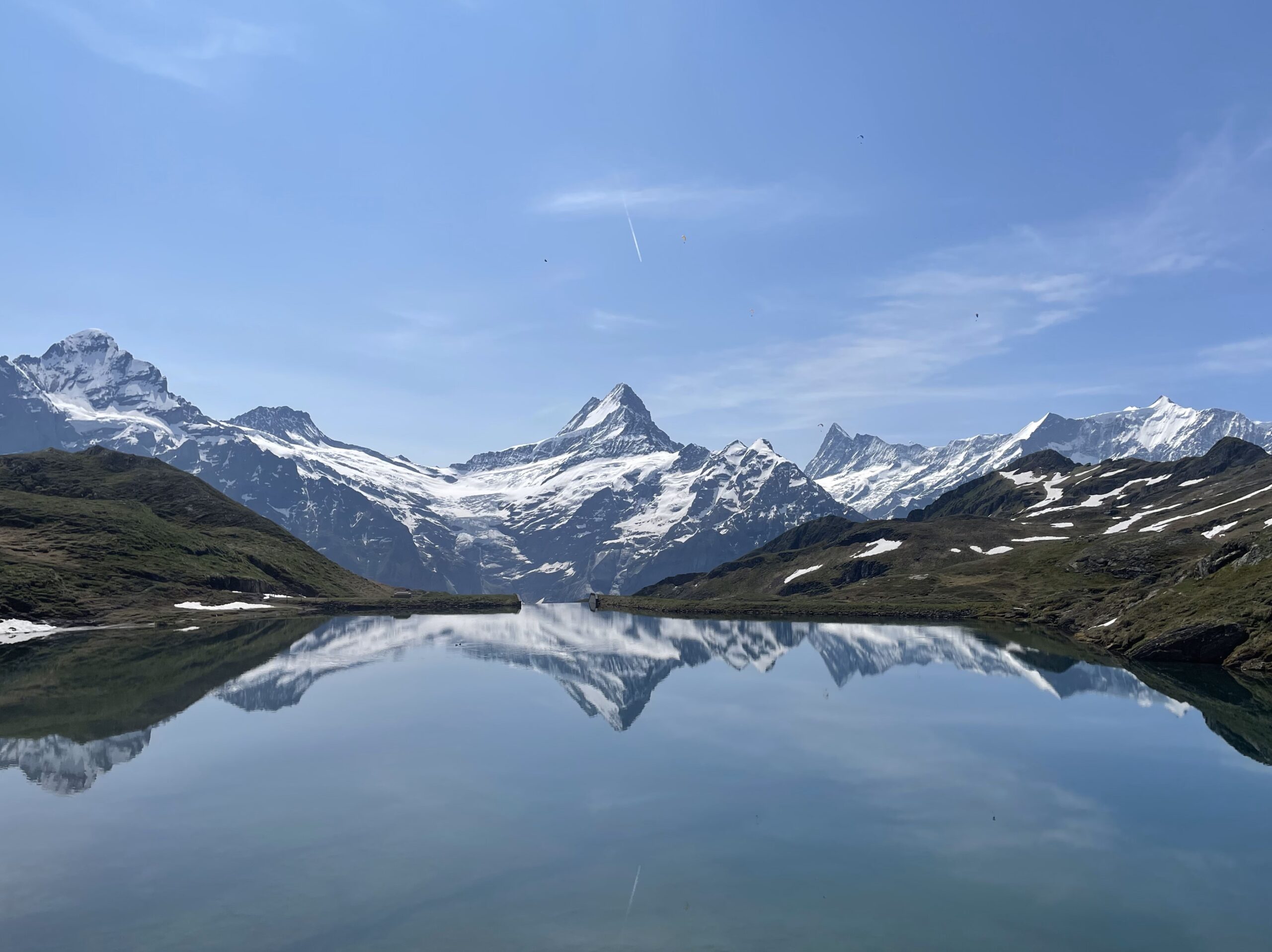 希少コロッサル・ユース('06ポルトガル/仏/スイス) 希少コロッサル・ユース(´06ポルトガル/仏/スイス)